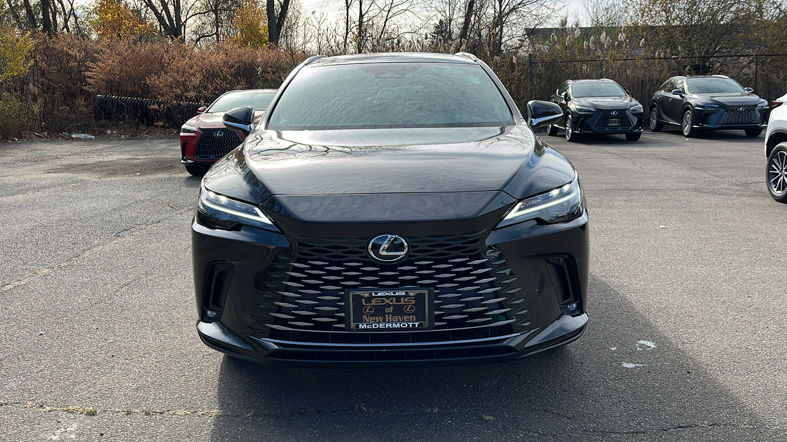 2024 Lexus RX  350 PREMIUM AWD 2