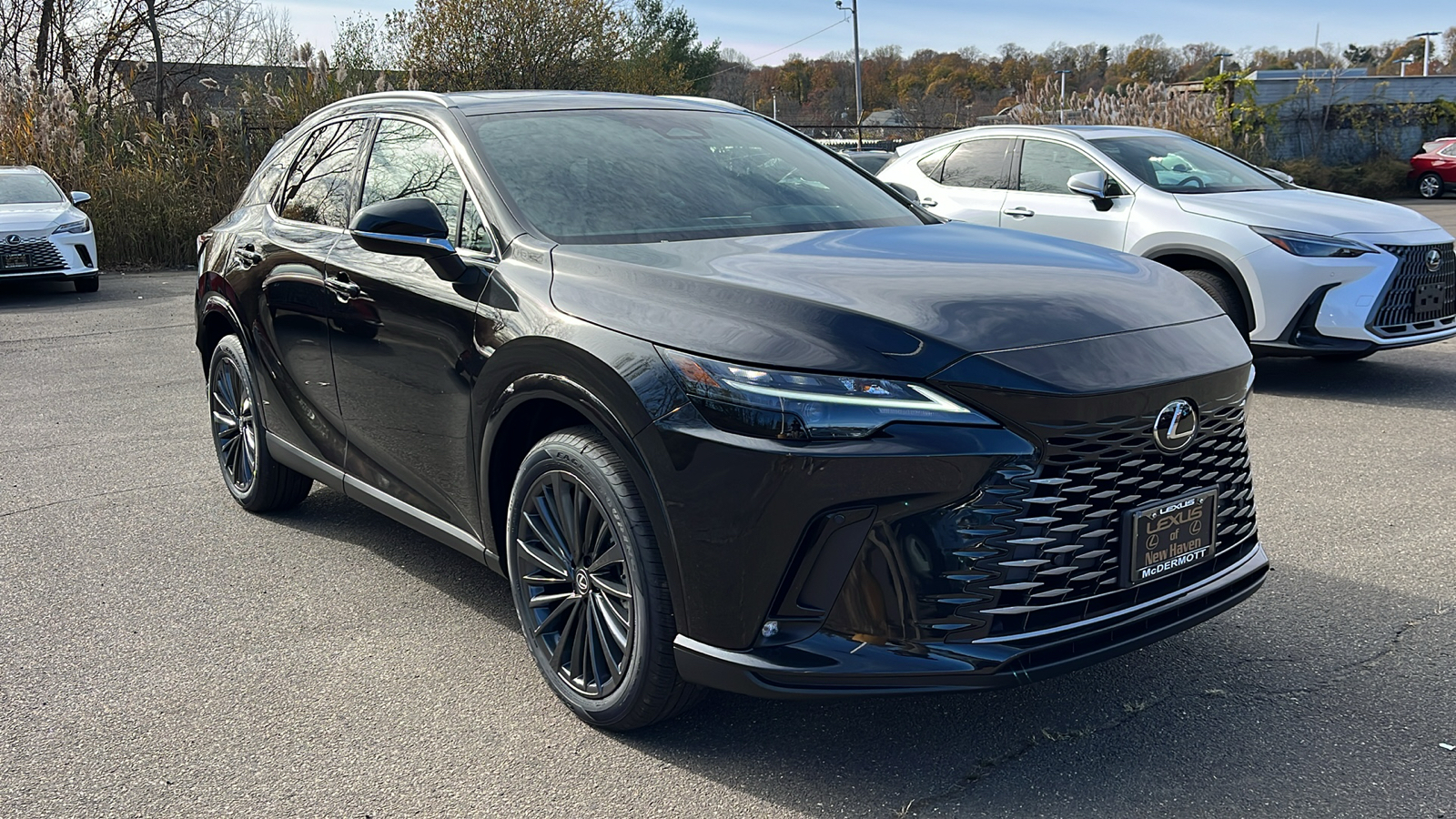 2024 Lexus RX  350 PREMIUM AWD 3