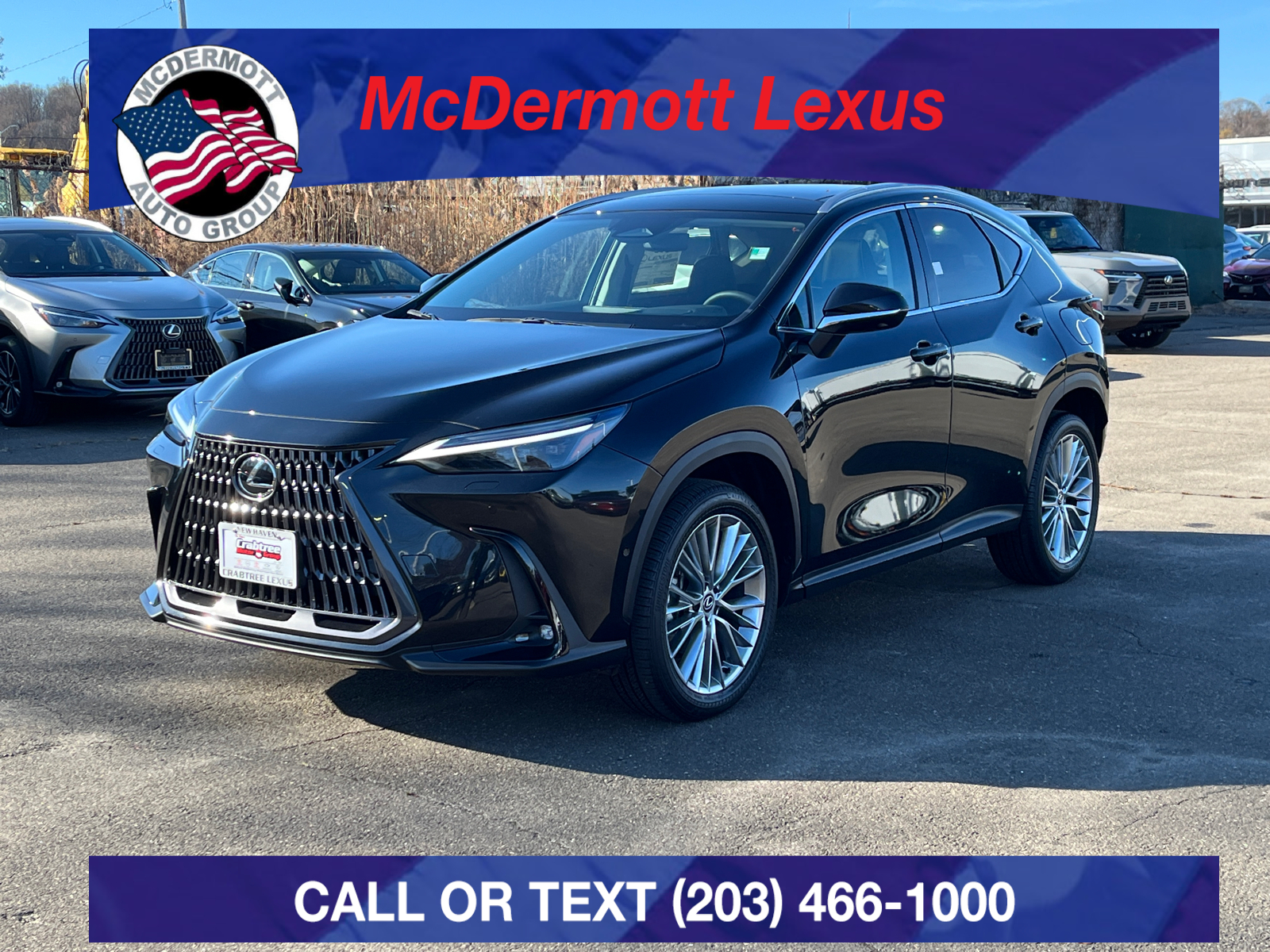 2025 Lexus NX 350 Luxury 1