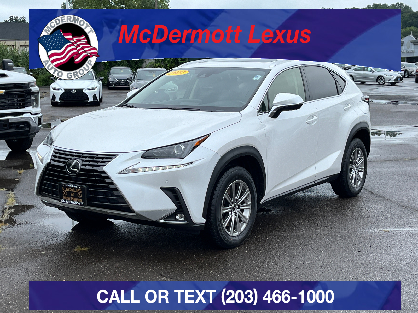 2021 Lexus NX 300 Base 1