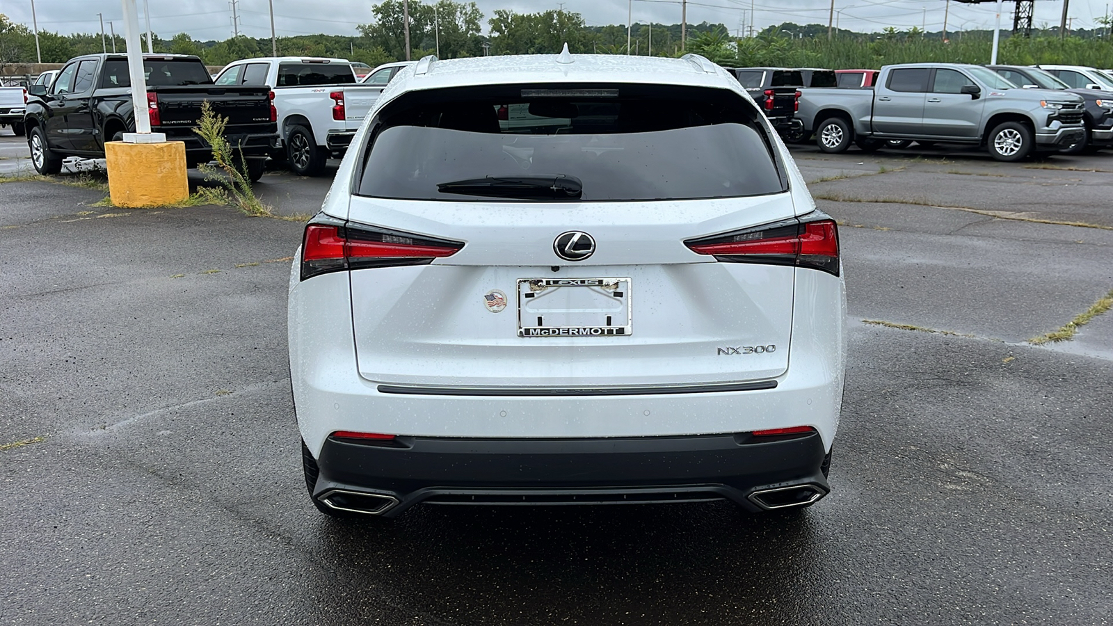 2021 Lexus NX 300 Base 6