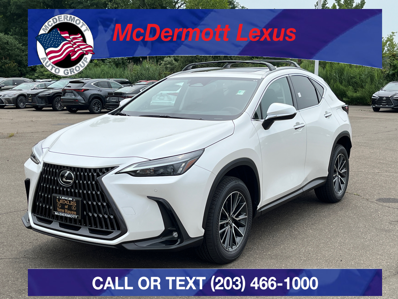 2025 Lexus NX 350h Premium 1