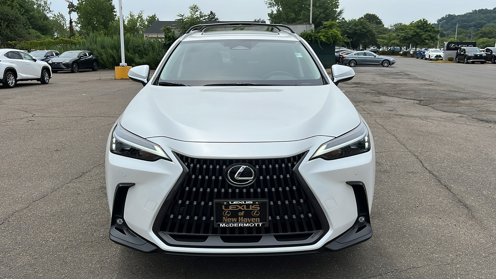 2025 Lexus NX 350h Premium 2