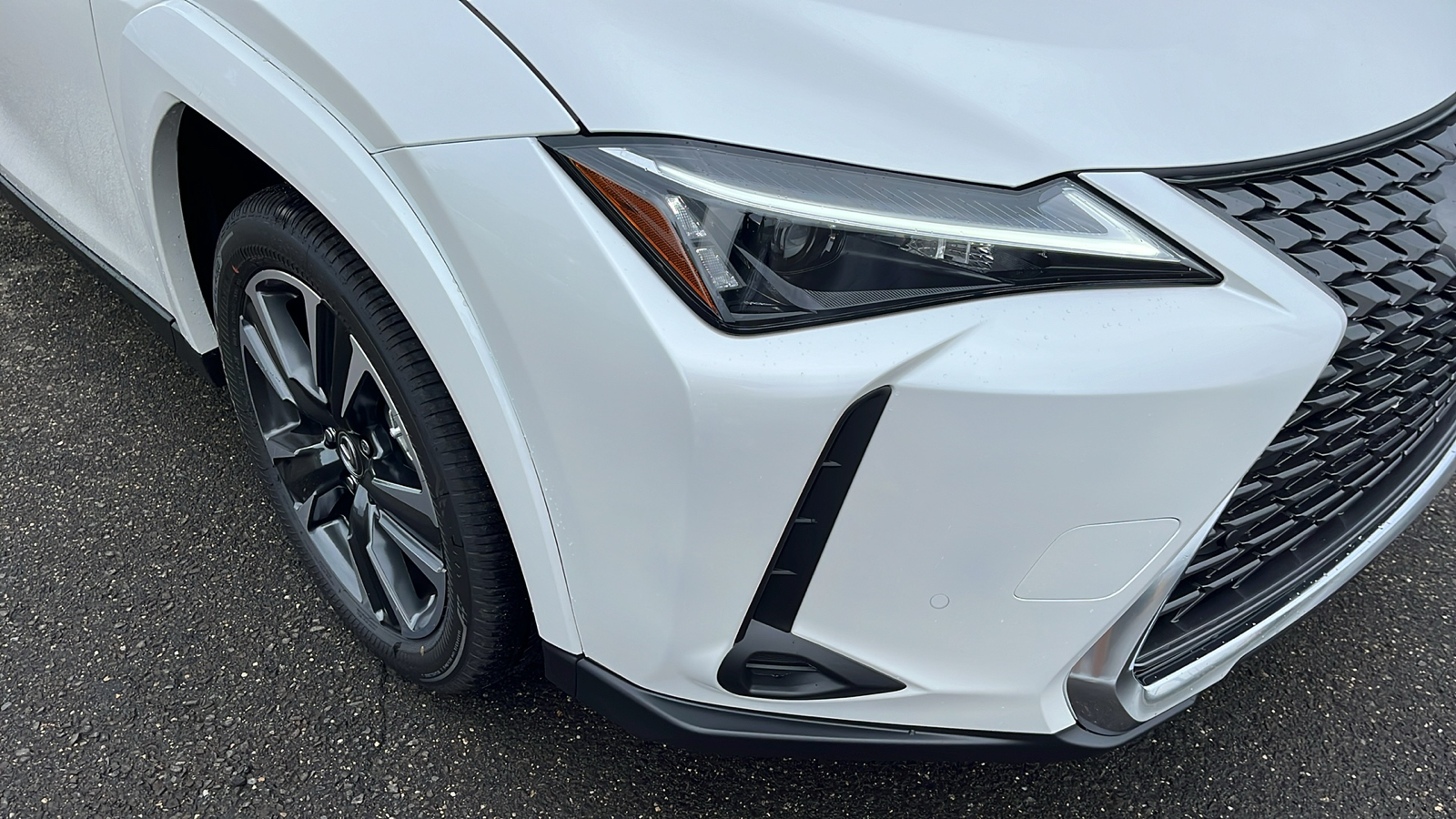 2025 Lexus UX 300h Base 4