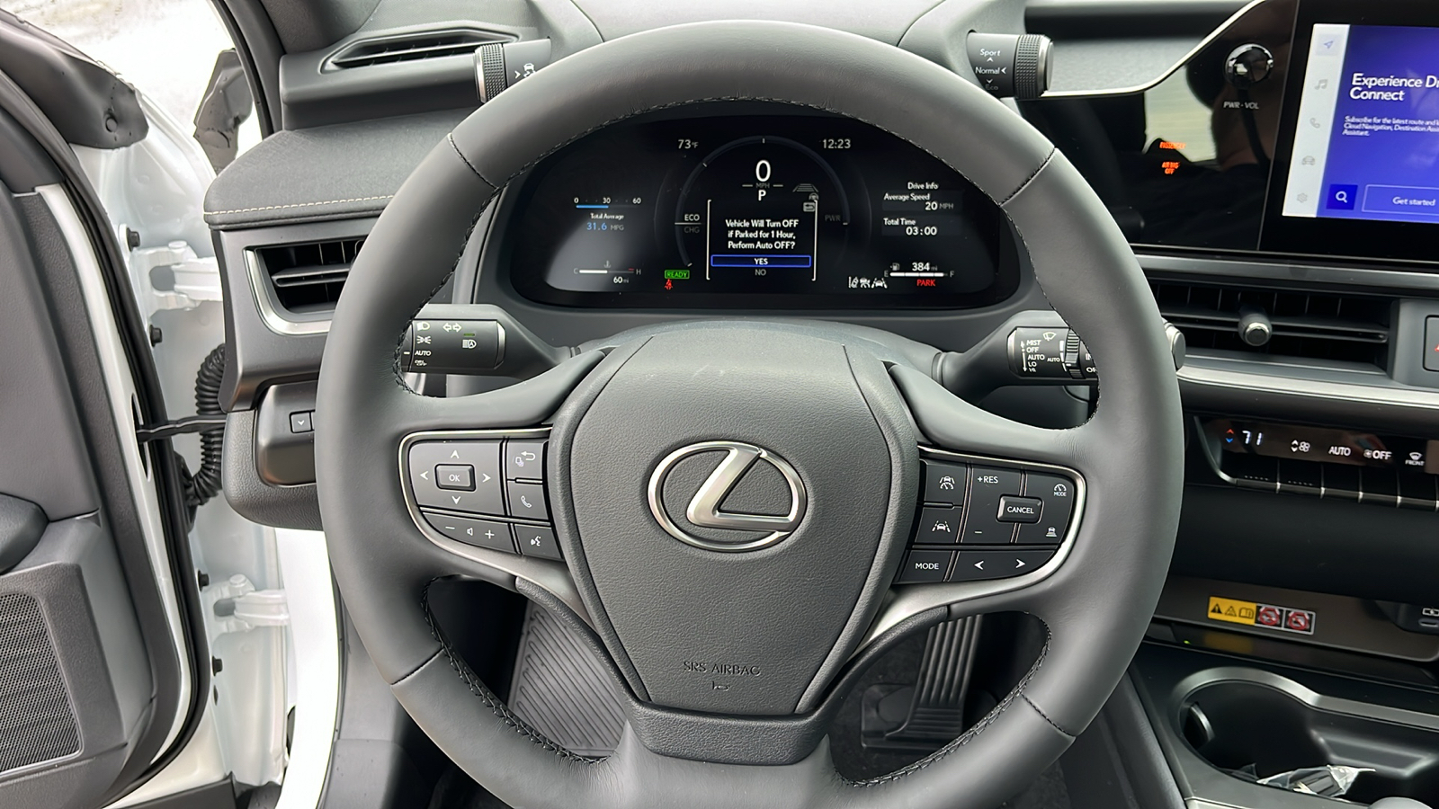 2025 Lexus UX 300h Base 8