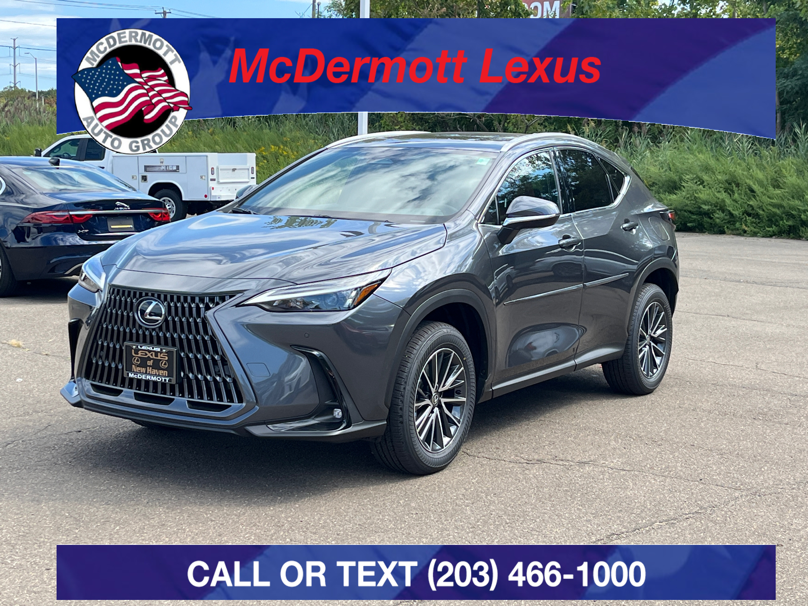 2025 Lexus NX 350 Premium 1