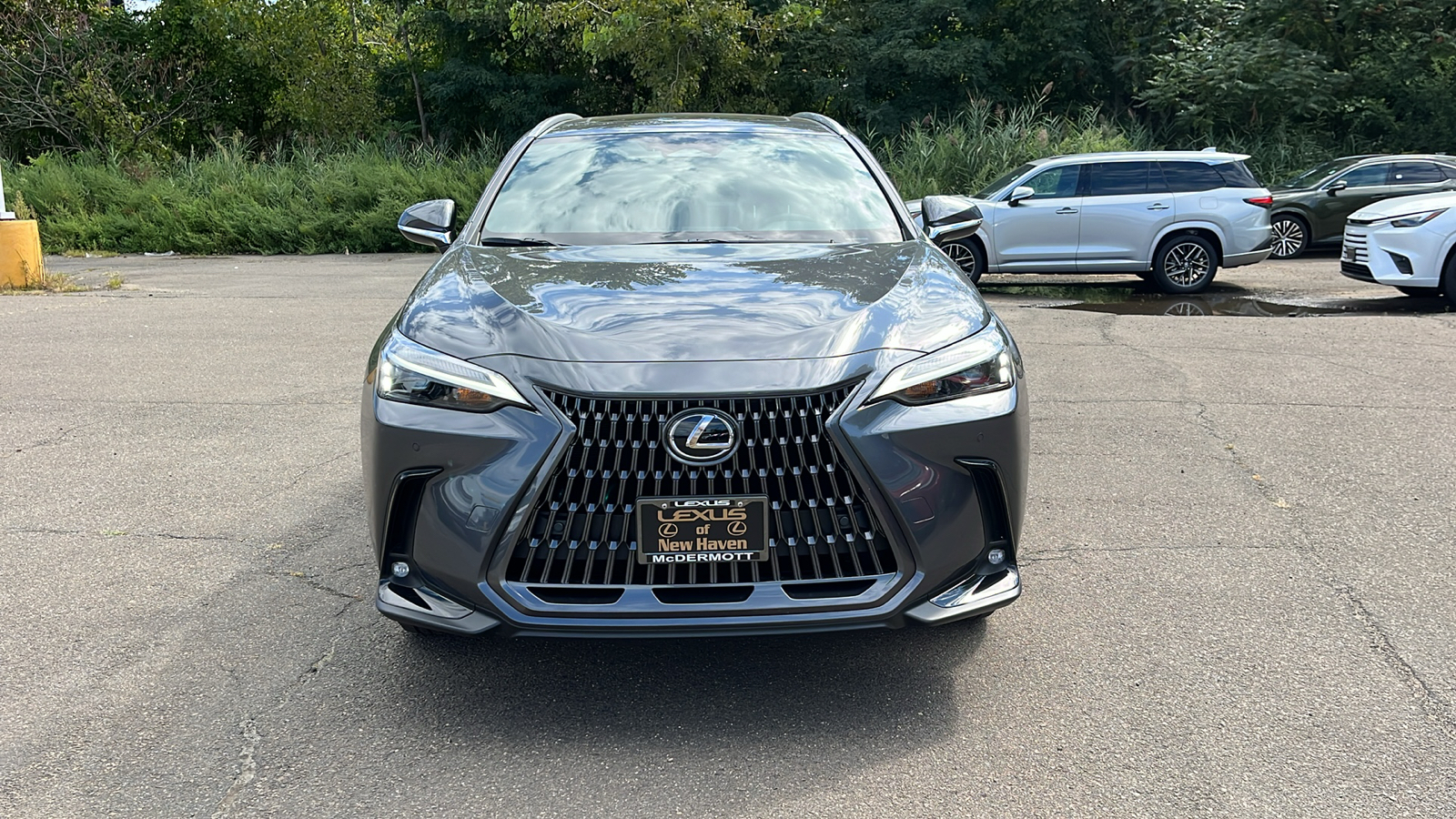 2025 Lexus NX 350 Premium 2