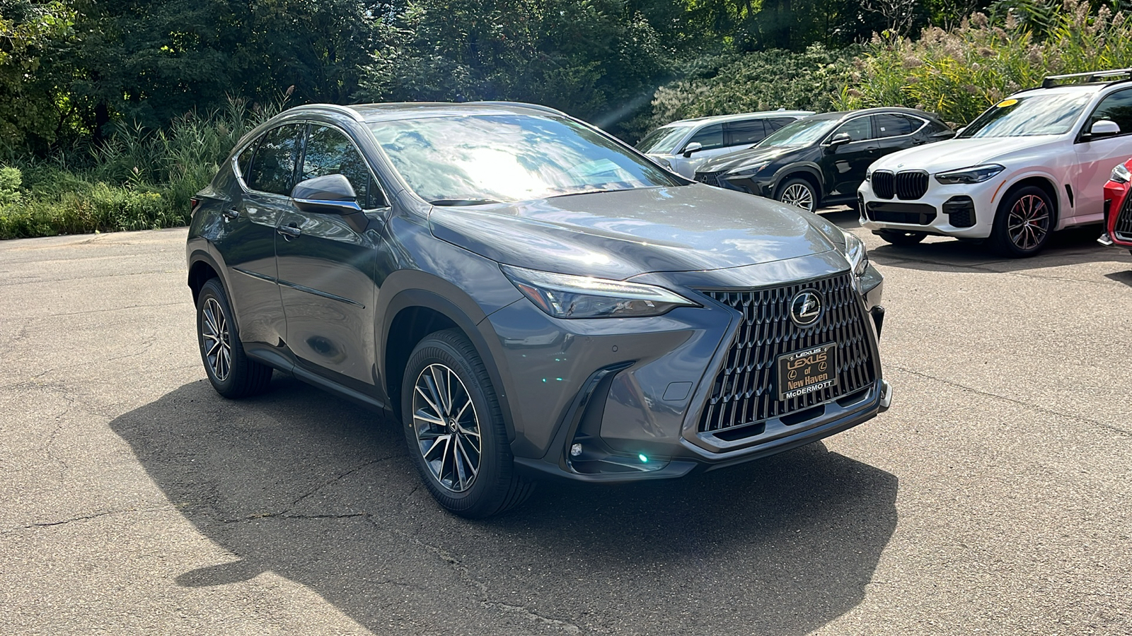 2025 Lexus NX 350 Premium 3