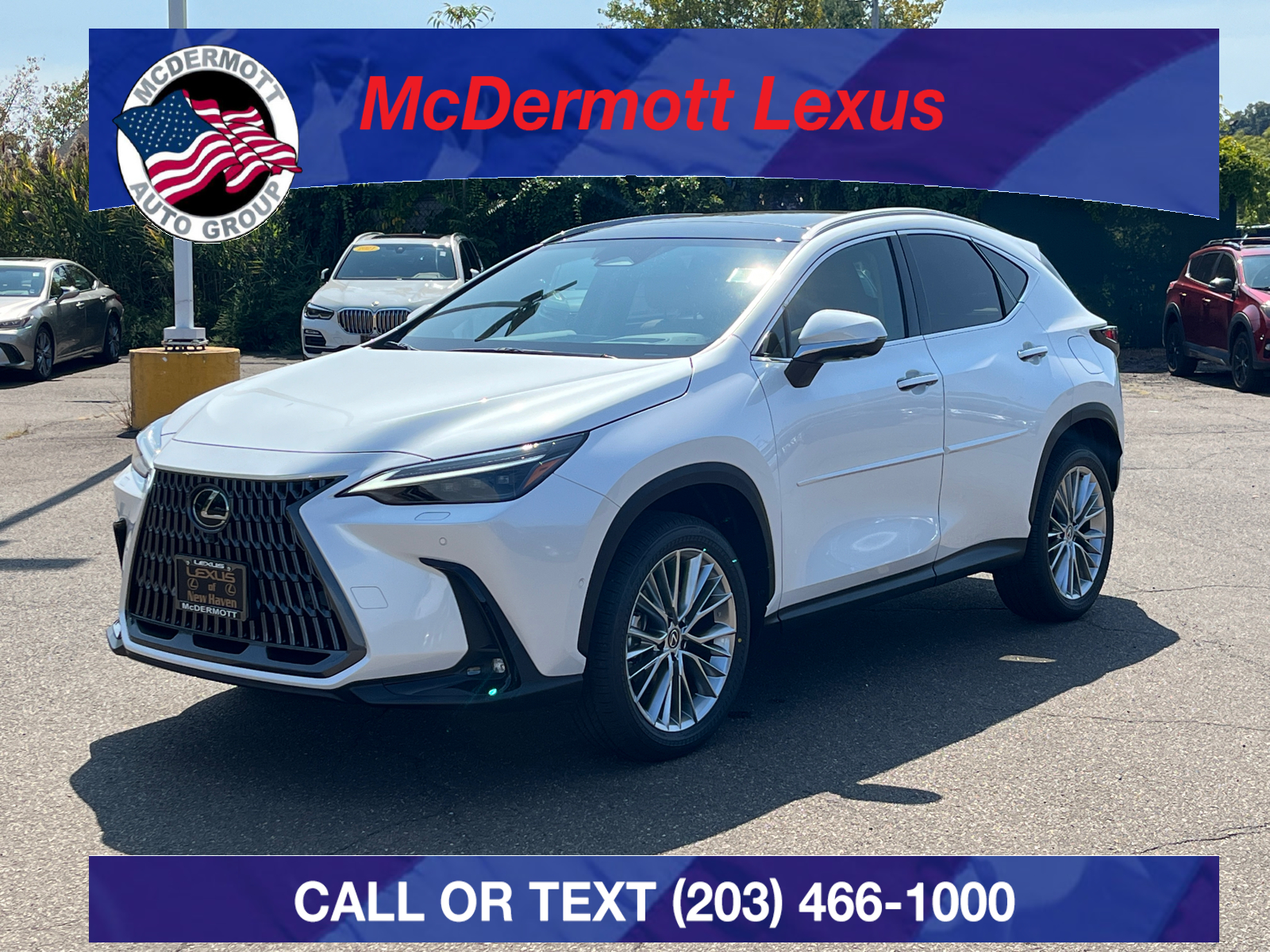 2025 Lexus NX 350 Luxury 1