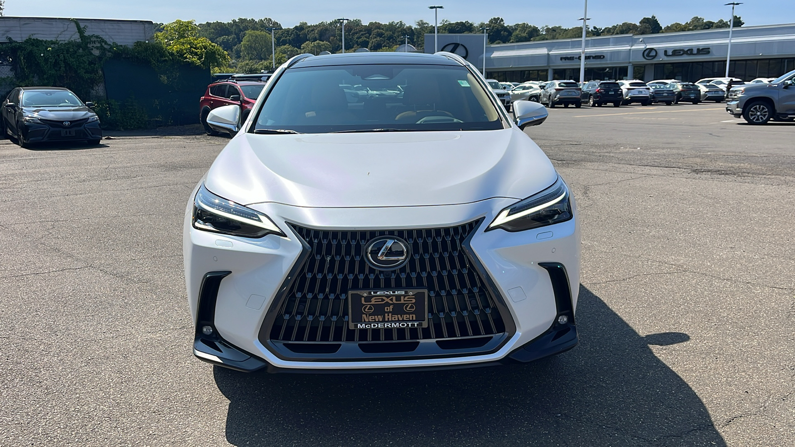 2025 Lexus NX 350 Luxury 2