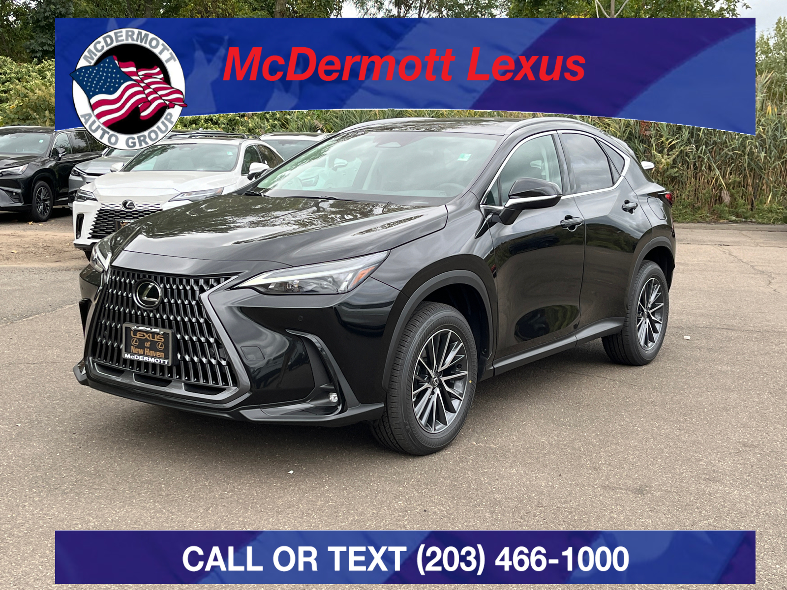 2025 Lexus NX 350h Premium 1