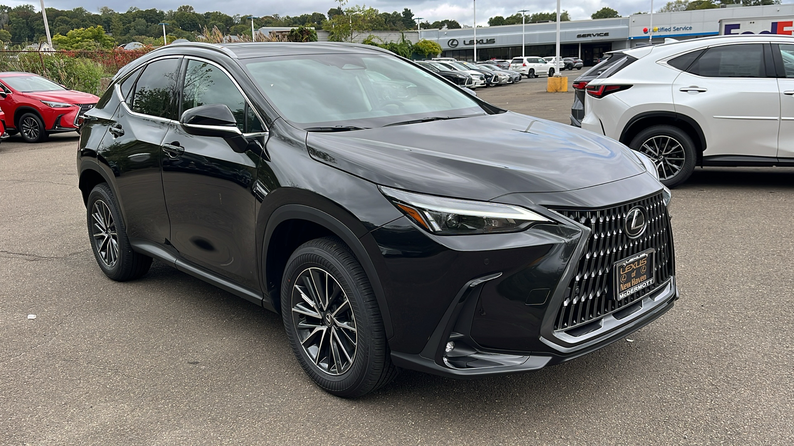 2025 Lexus NX 350h Premium 3