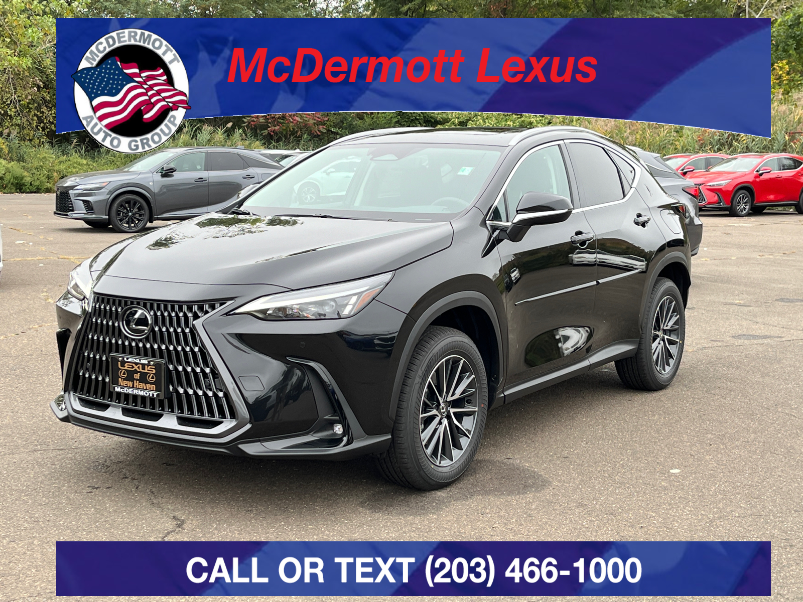 2025 Lexus NX 350 Premium 1