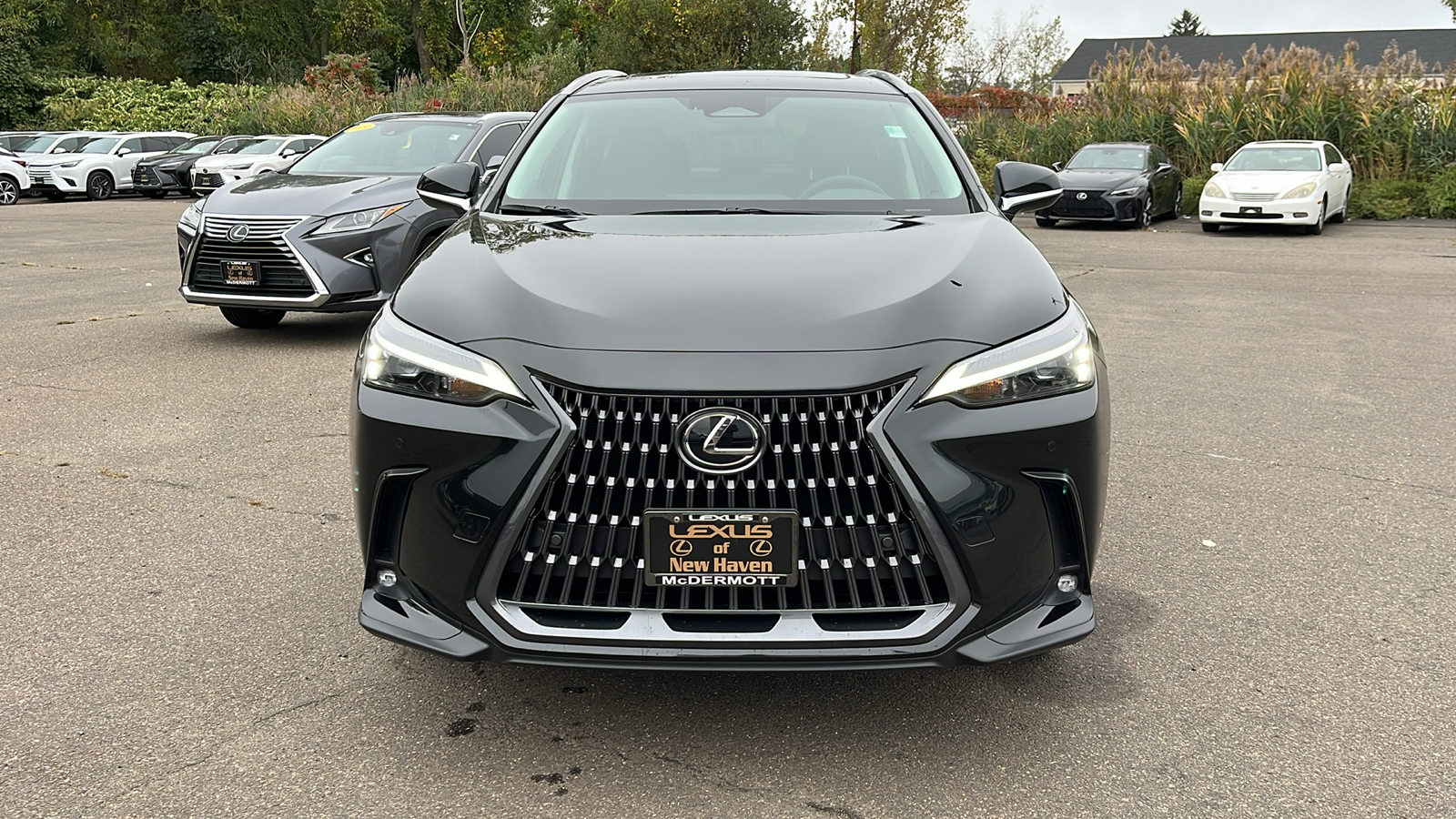 2025 Lexus NX 350 Premium 2