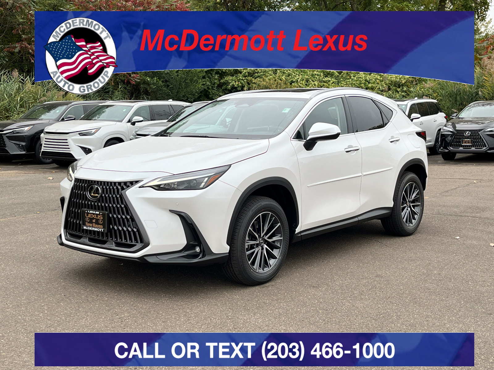 2025 Lexus NX 350 Premium 1