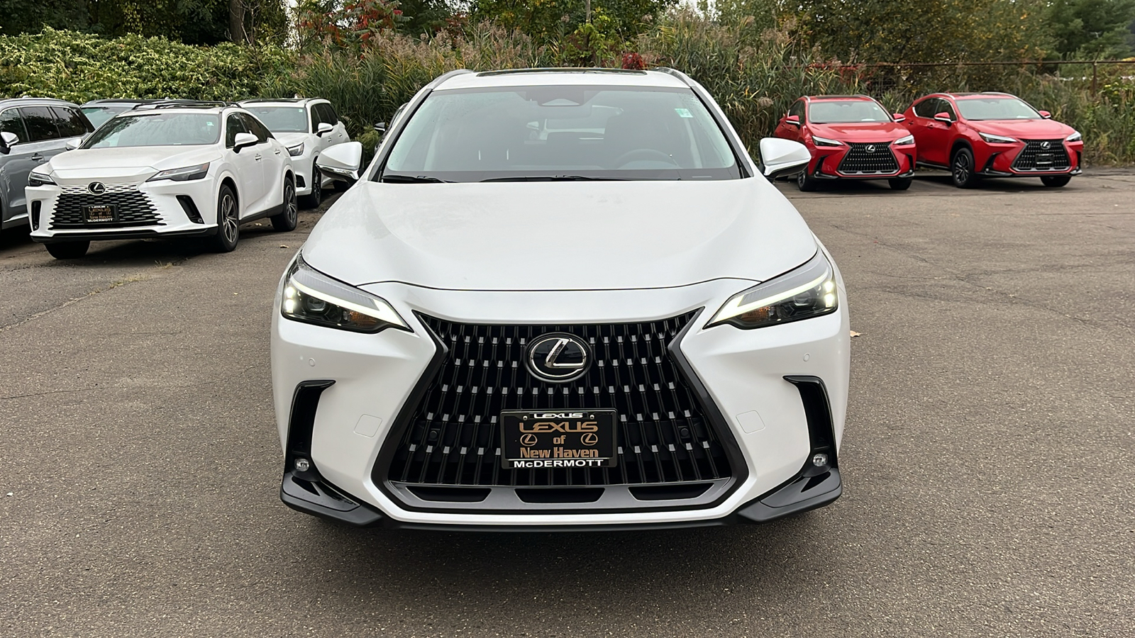 2025 Lexus NX 350 Premium 2