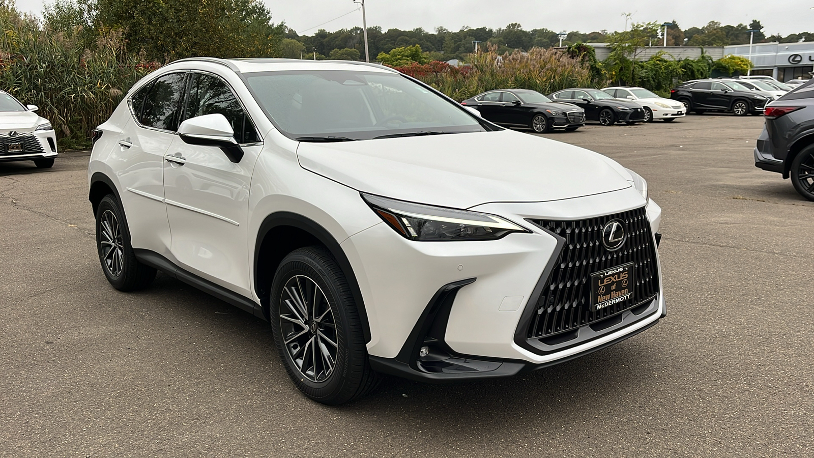 2025 Lexus NX 350 Premium 3