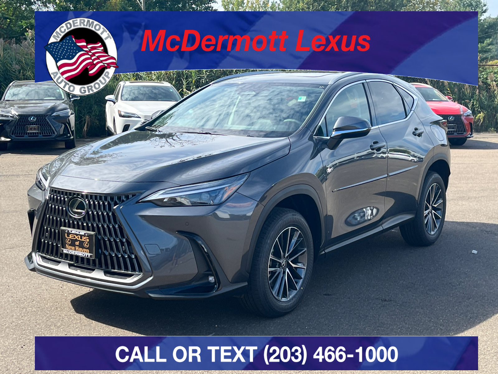 2025 Lexus NX 350 Premium 1