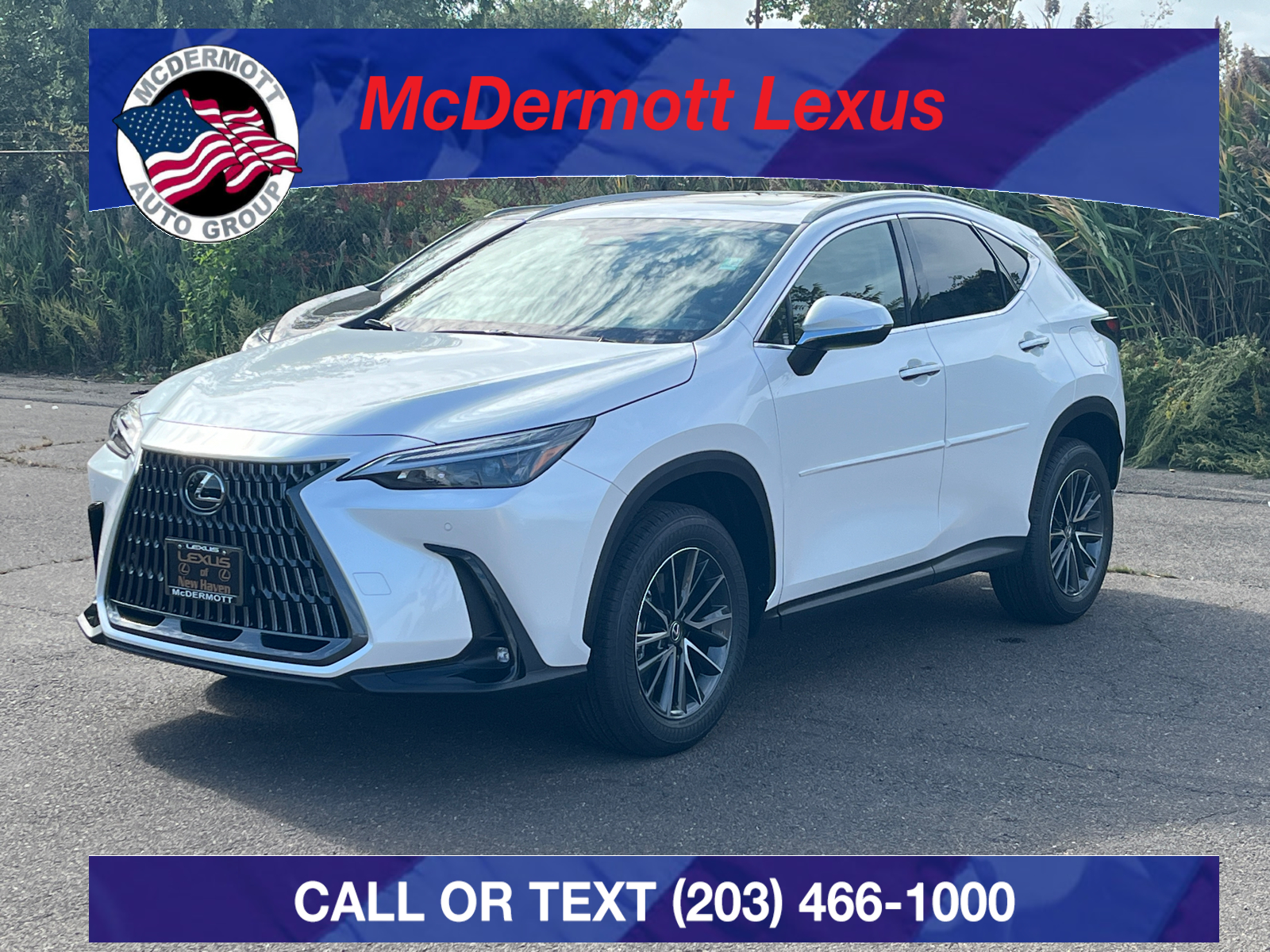 2025 Lexus NX 350 Base 1