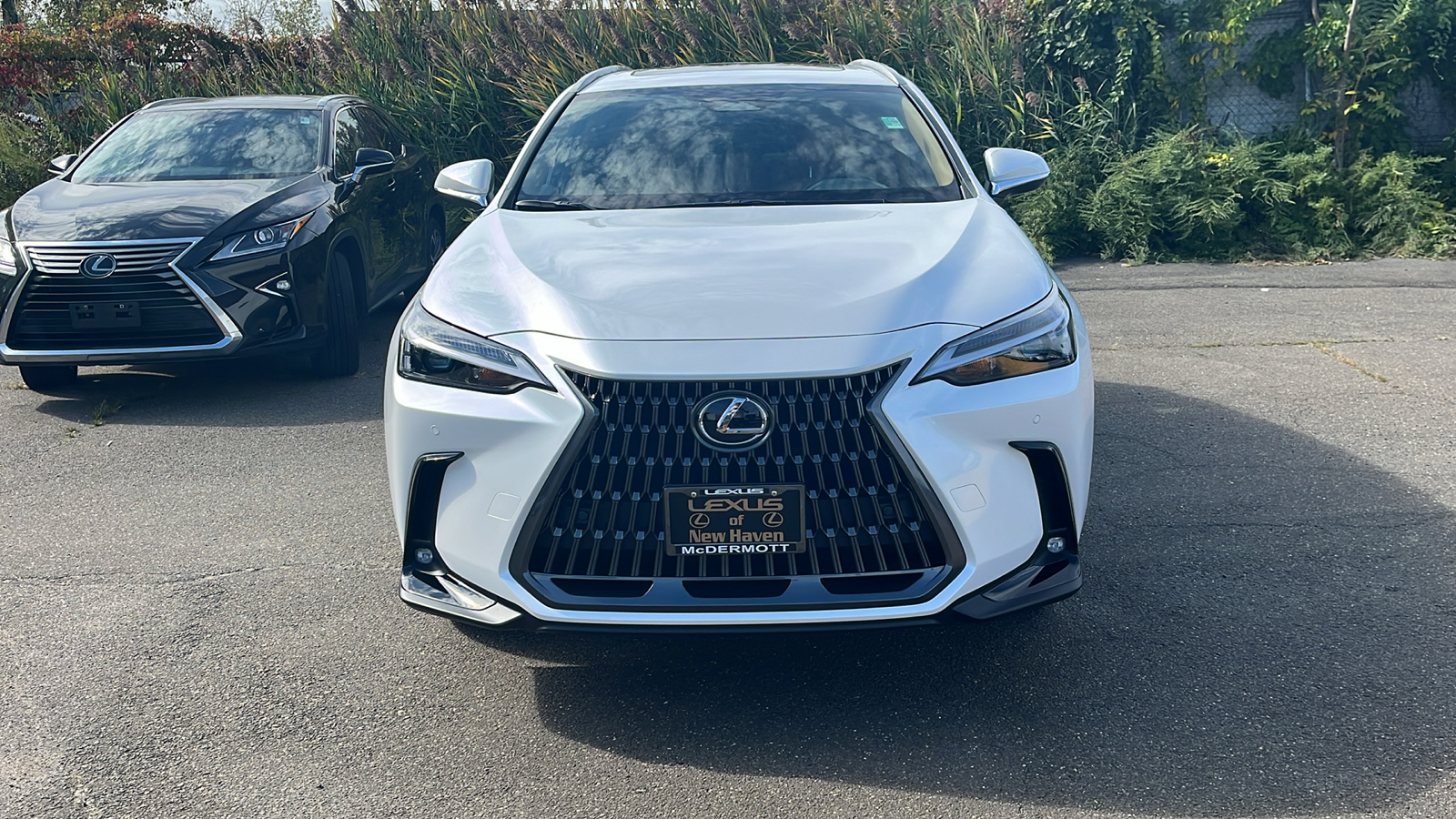 2025 Lexus NX 350 Base 2