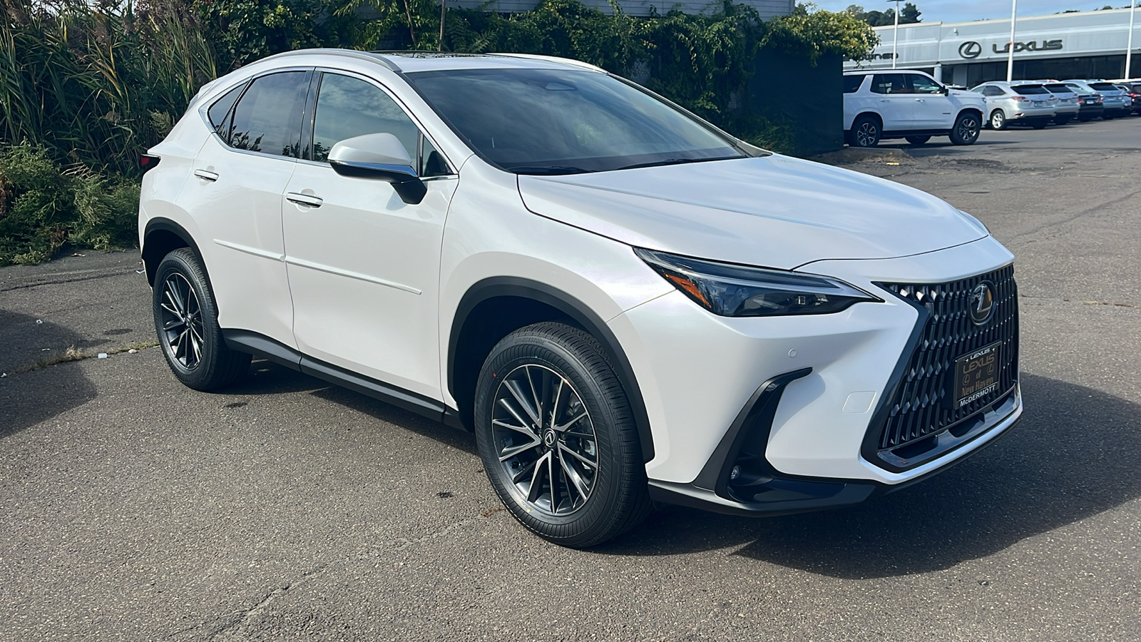 2025 Lexus NX 350 Base 3