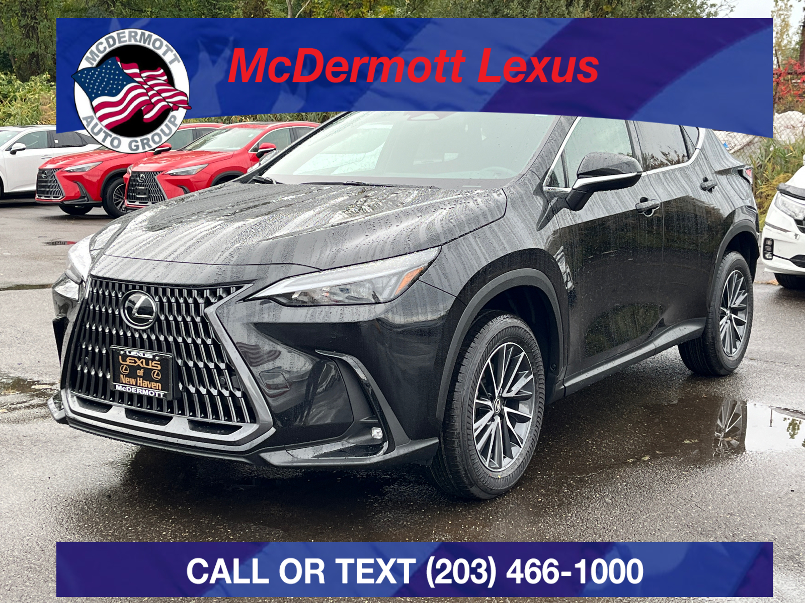 2025 Lexus NX 350 Premium 1