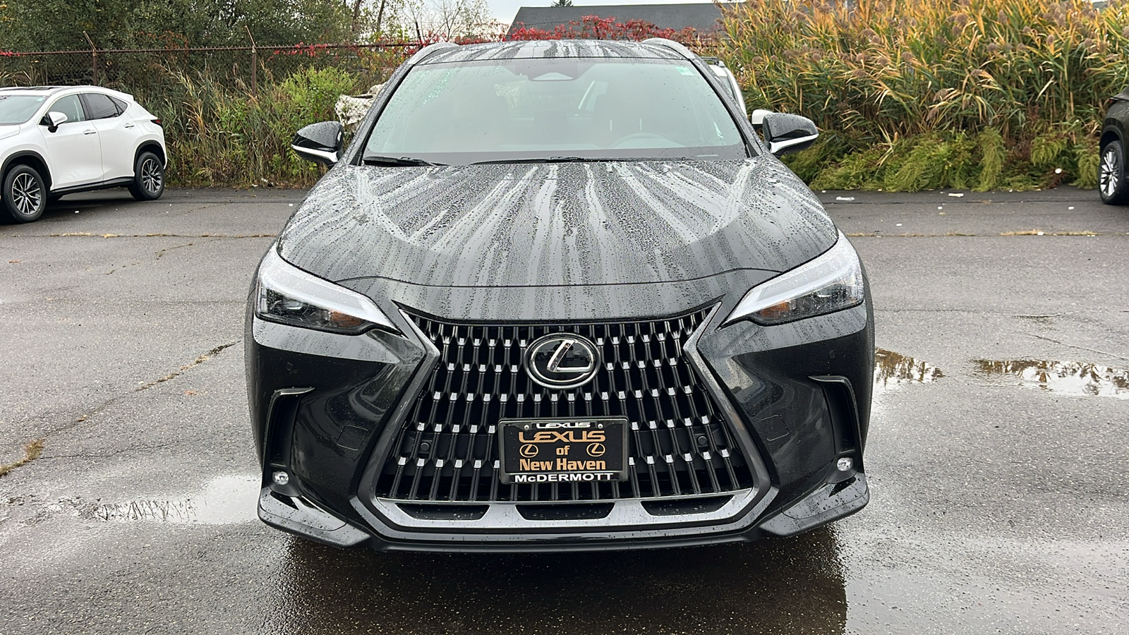 2025 Lexus NX 350 Premium 2