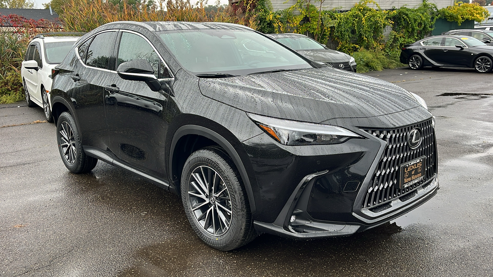 2025 Lexus NX 350 Premium 3