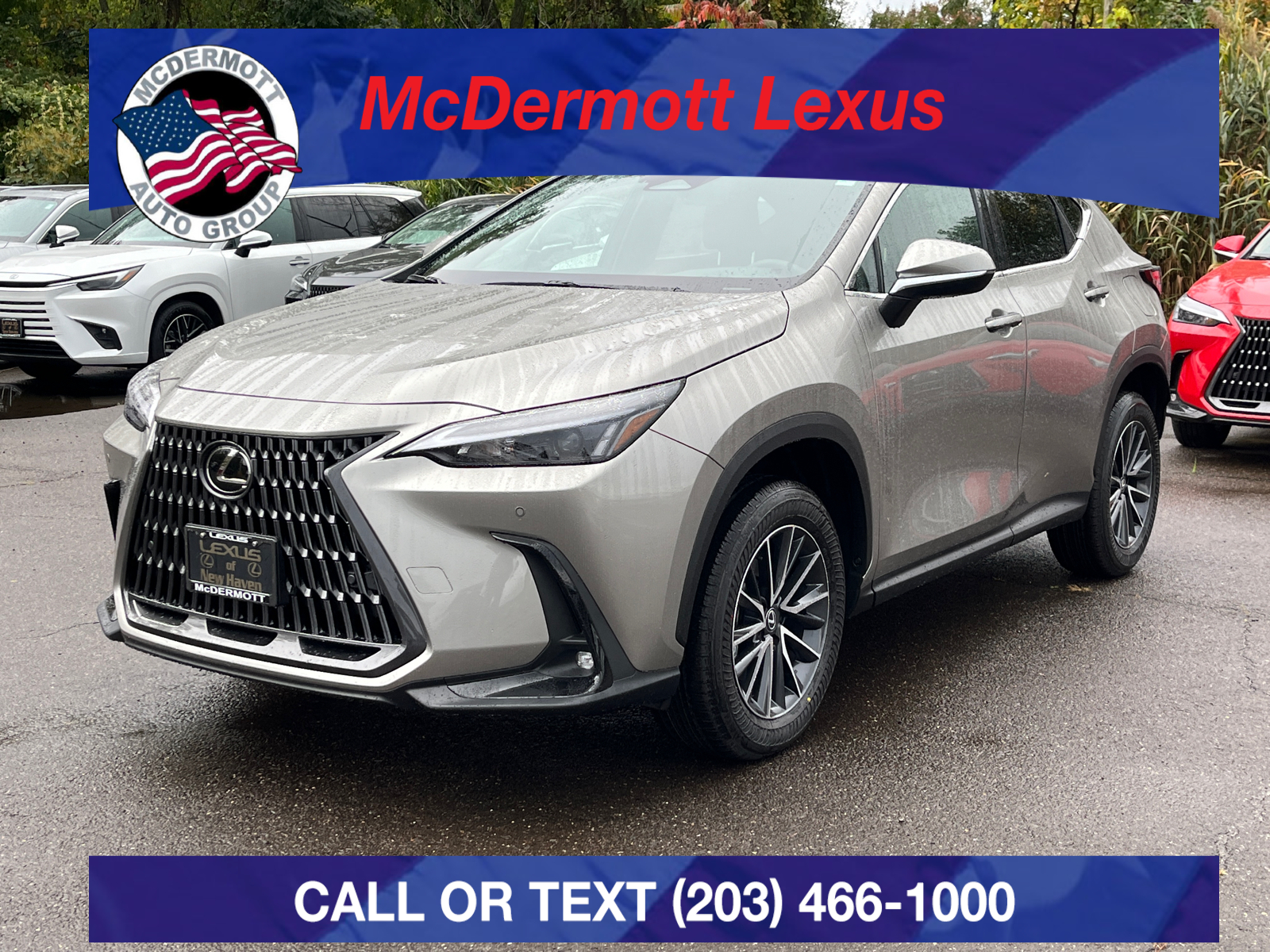 2025 Lexus NX 350 Base 1