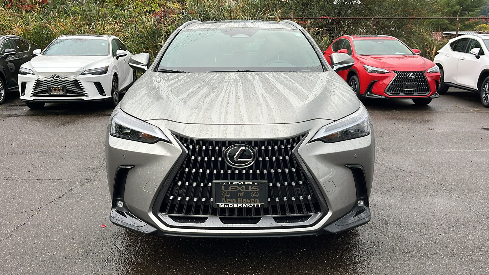 2025 Lexus NX 350 Base 2