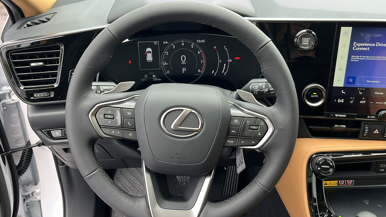 2025 Lexus NX 350 Base 8