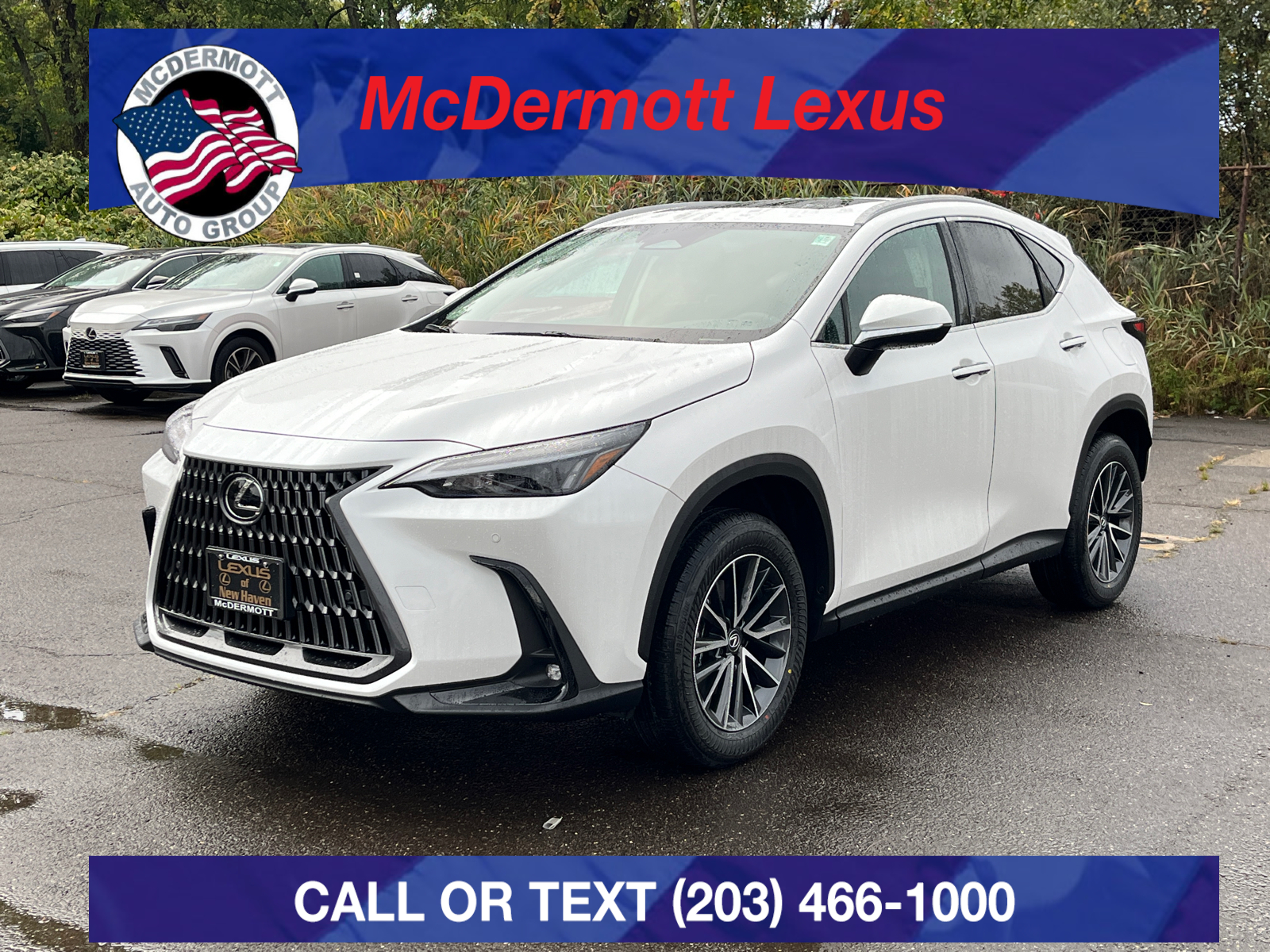 2025 Lexus NX 350 Base 1