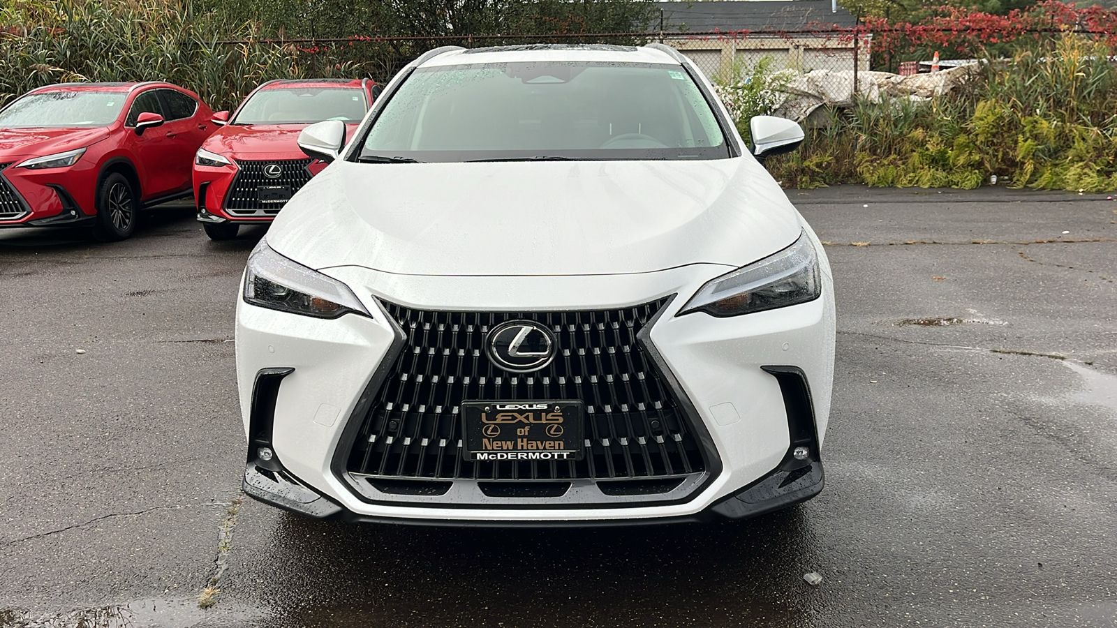 2025 Lexus NX 350 Base 2