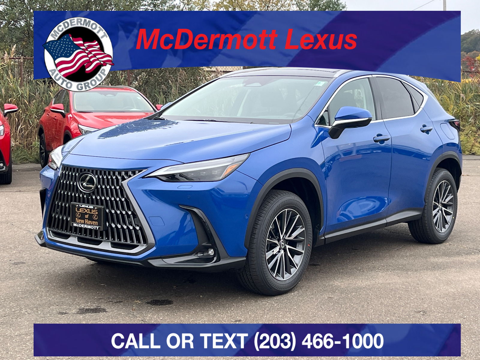 2025 Lexus NX 350h Luxury 1