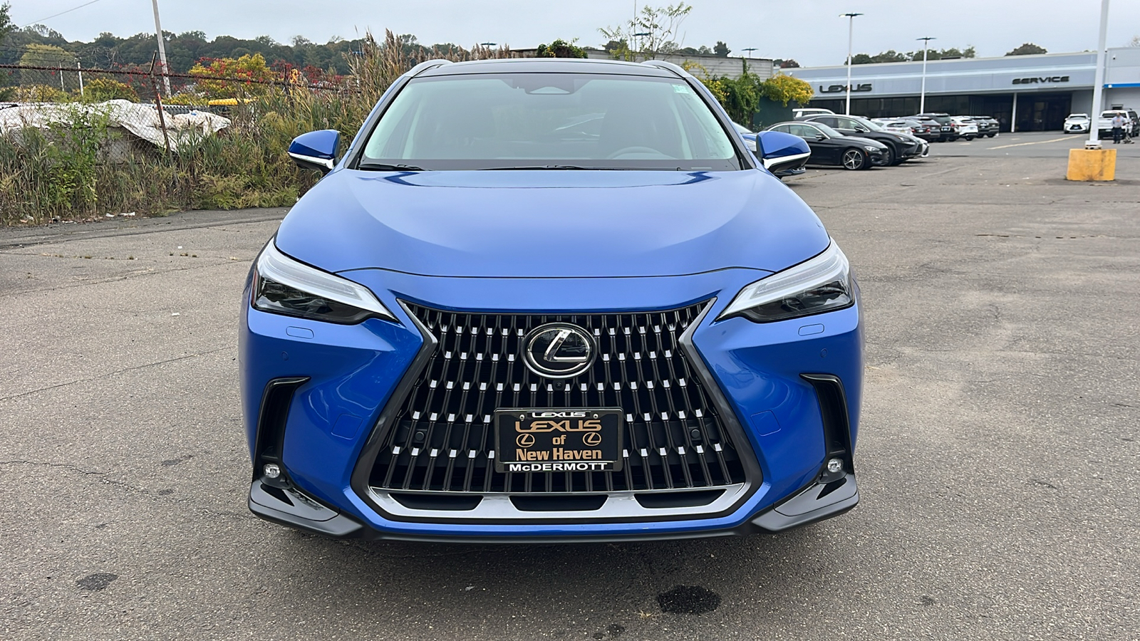 2025 Lexus NX 350h Luxury 2