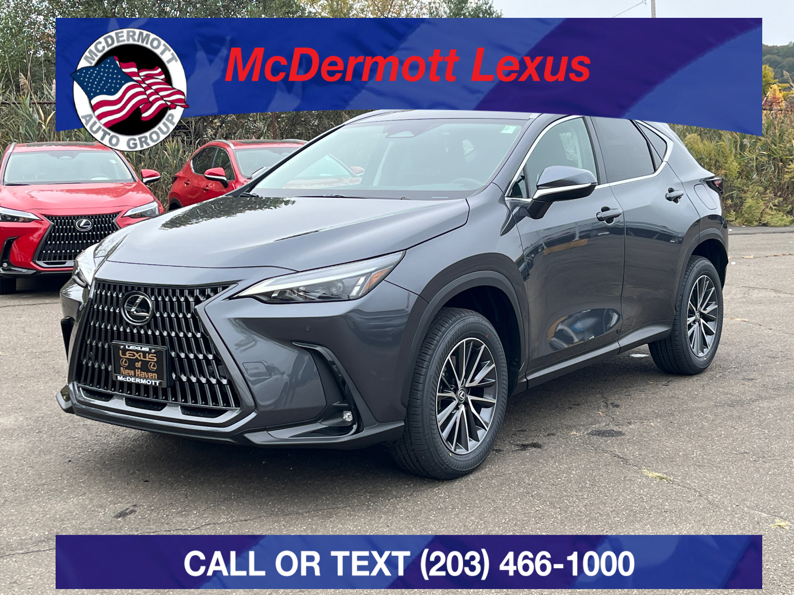 2025 Lexus NX 350 Premium 1