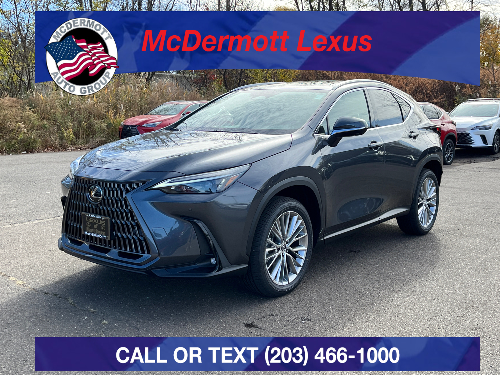 2025 Lexus NX 350h Premium 1