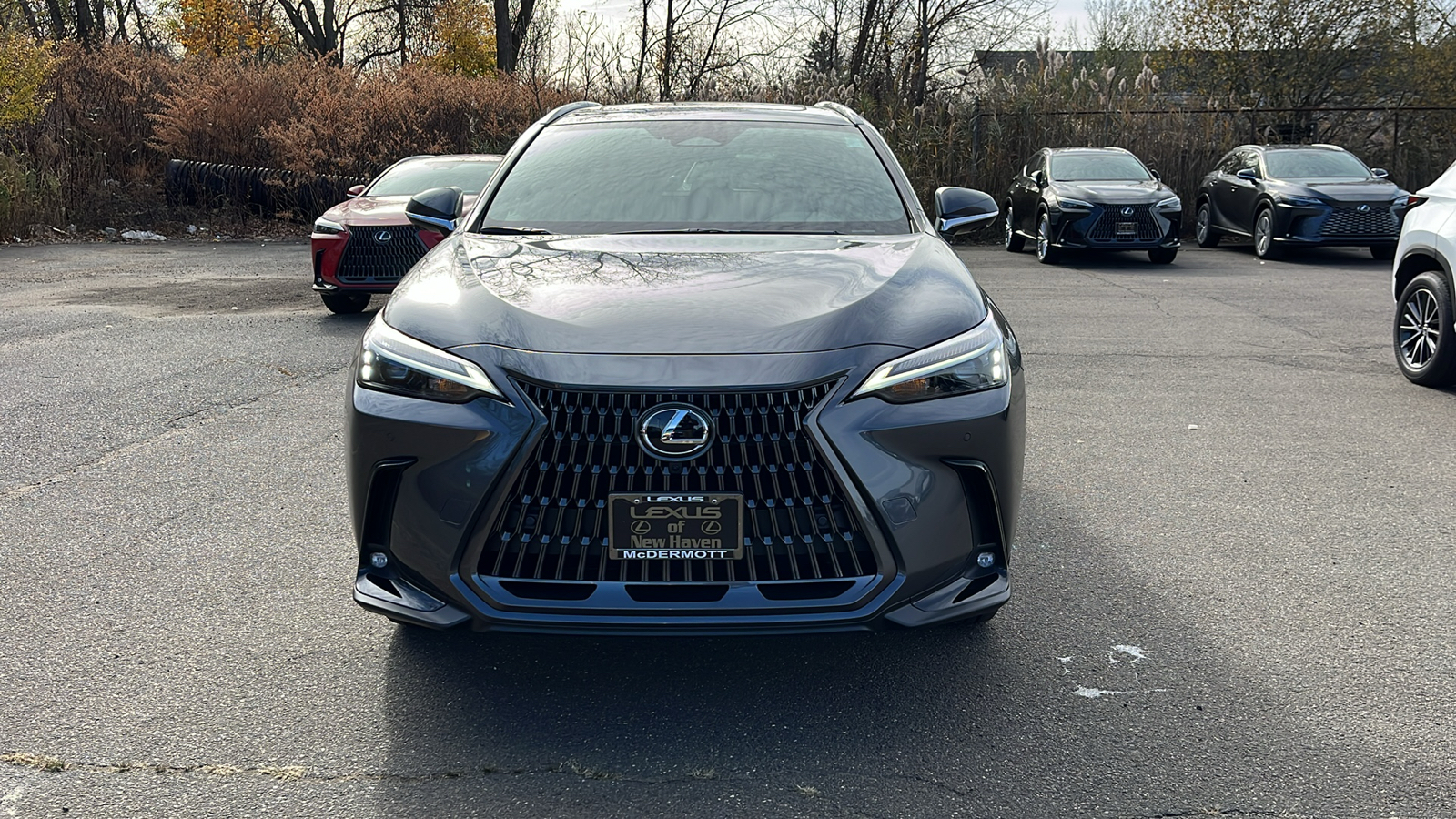 2025 Lexus NX 350h Premium 2