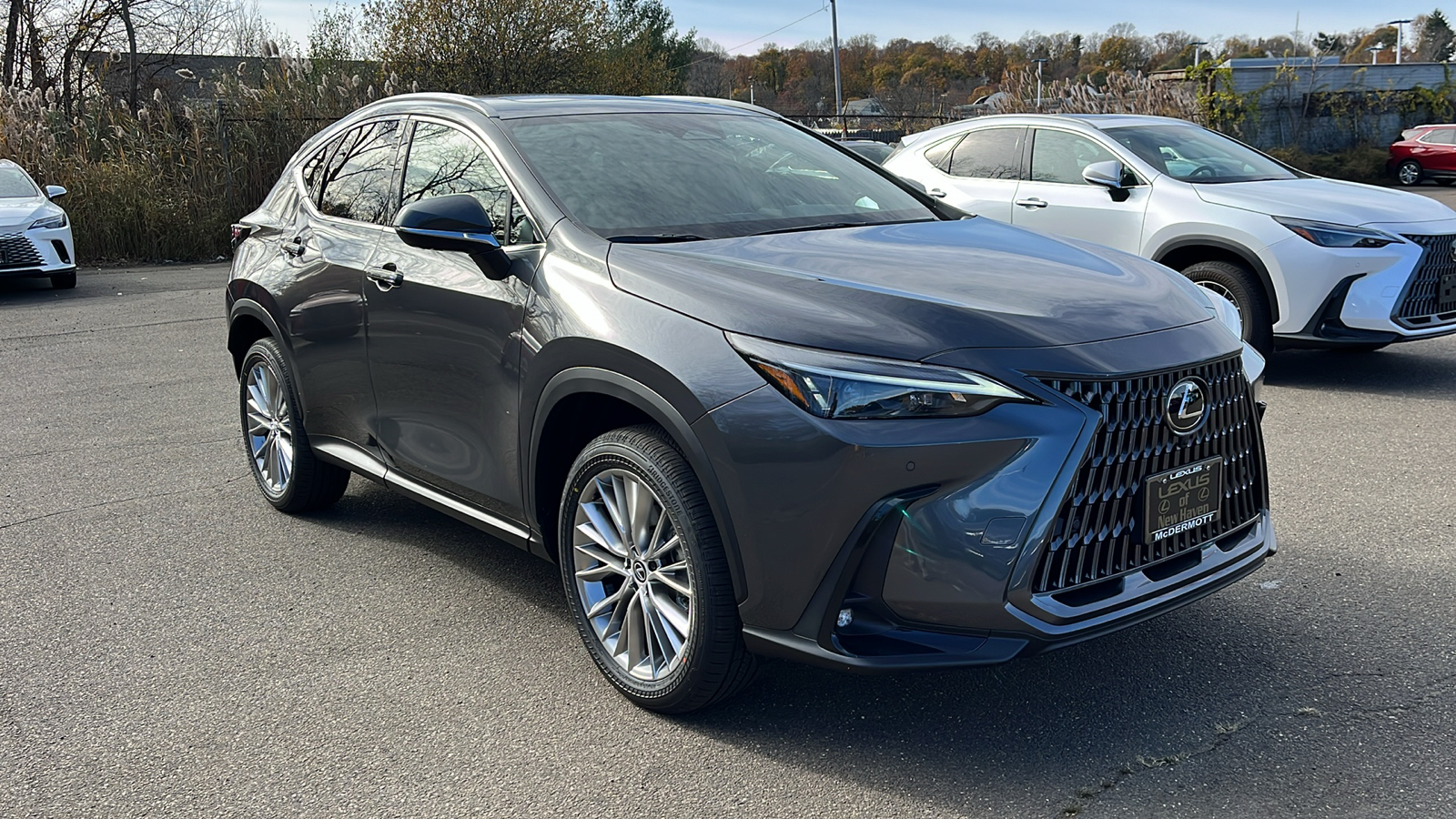 2025 Lexus NX 350h Premium 3