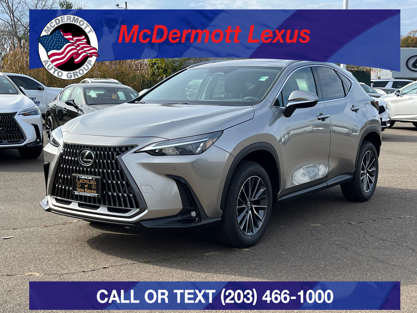 2025 Lexus NX 350 Premium 1