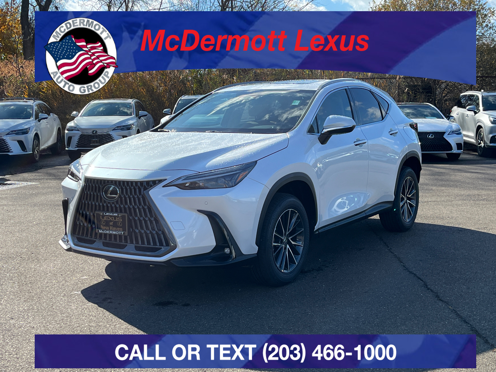 2025 Lexus NX 350 Base 1