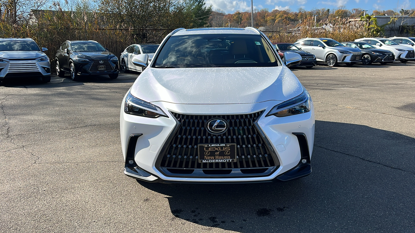 2025 Lexus NX 350 Base 2