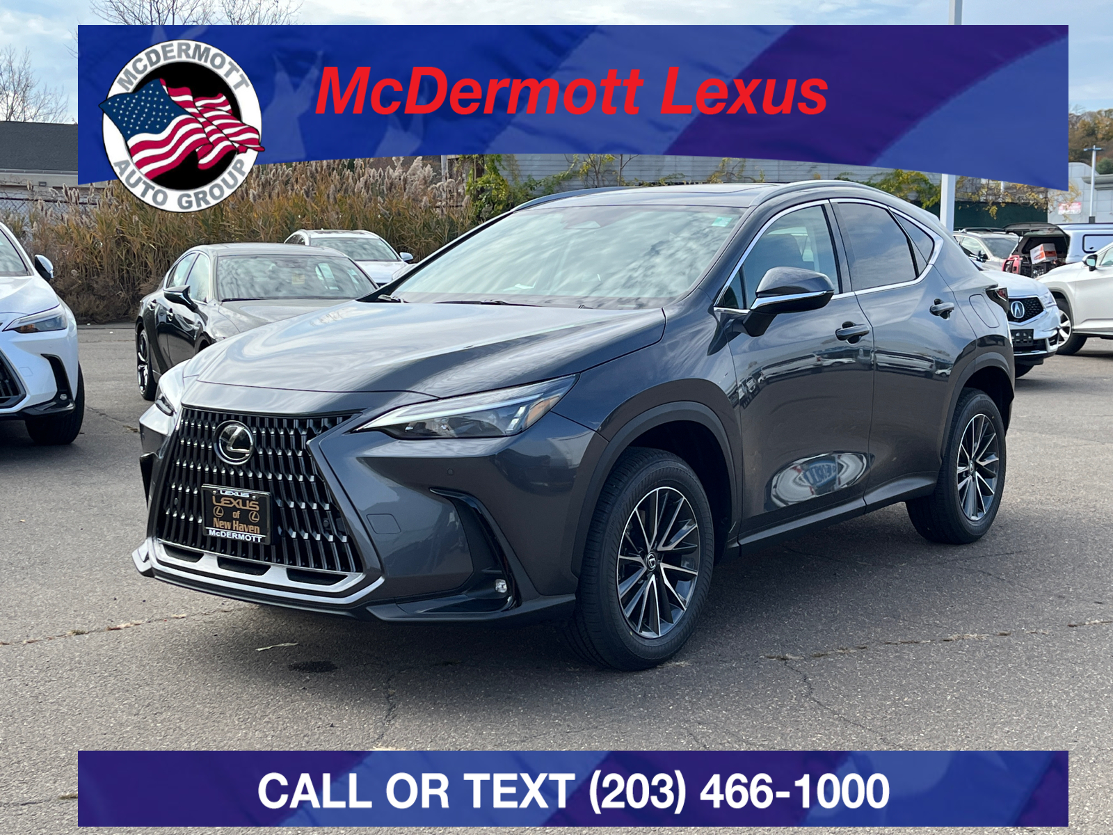 2025 Lexus NX 350h Premium 1