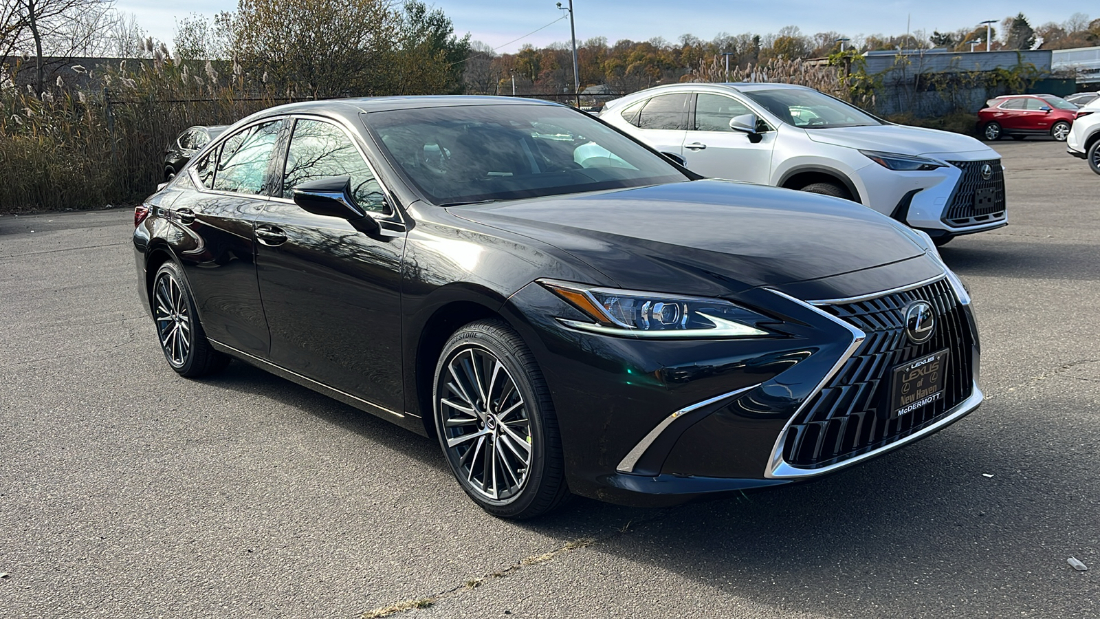 2025 Lexus ES 300h Base 3