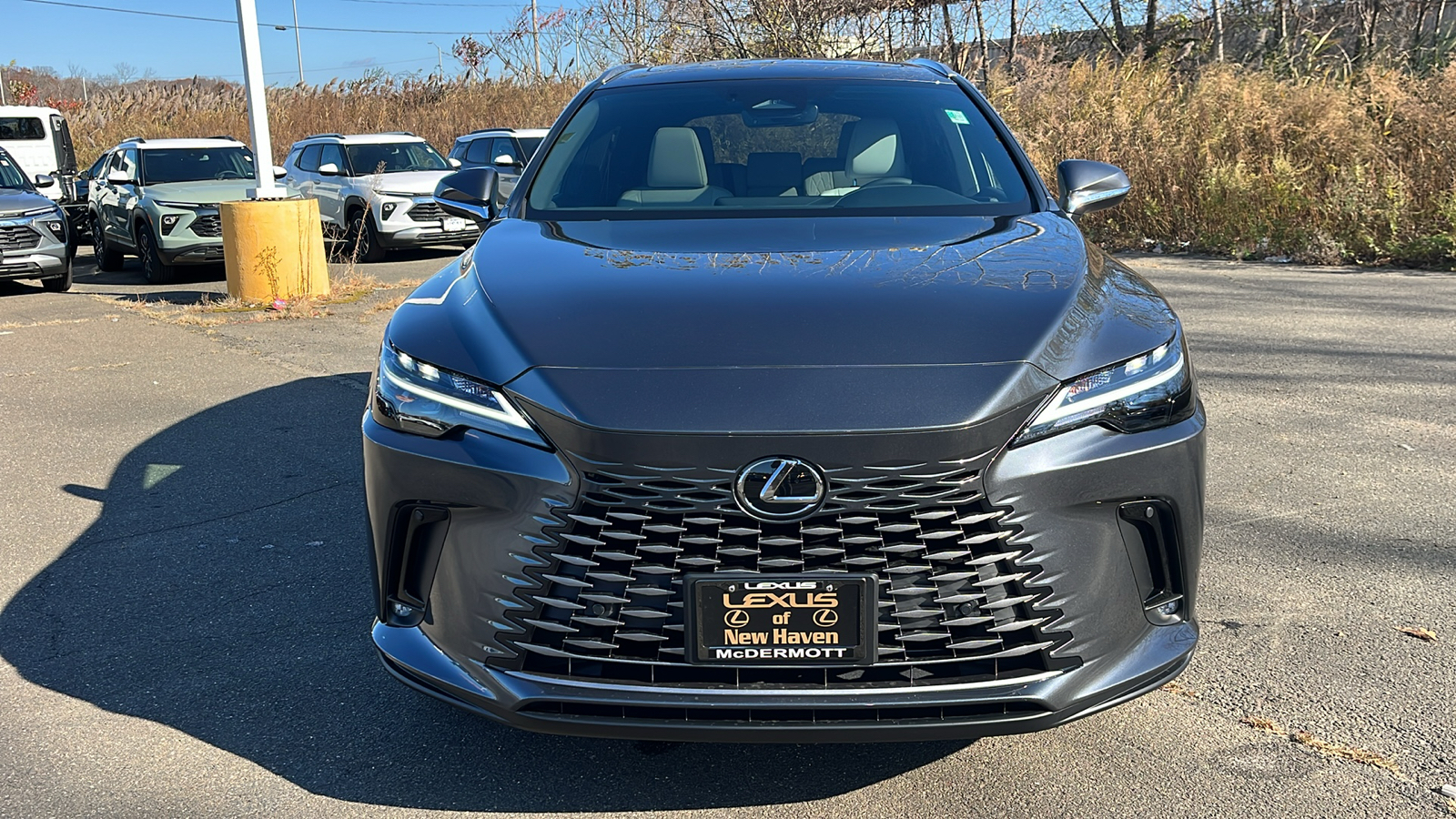 2025 Lexus RX 350 Base 2