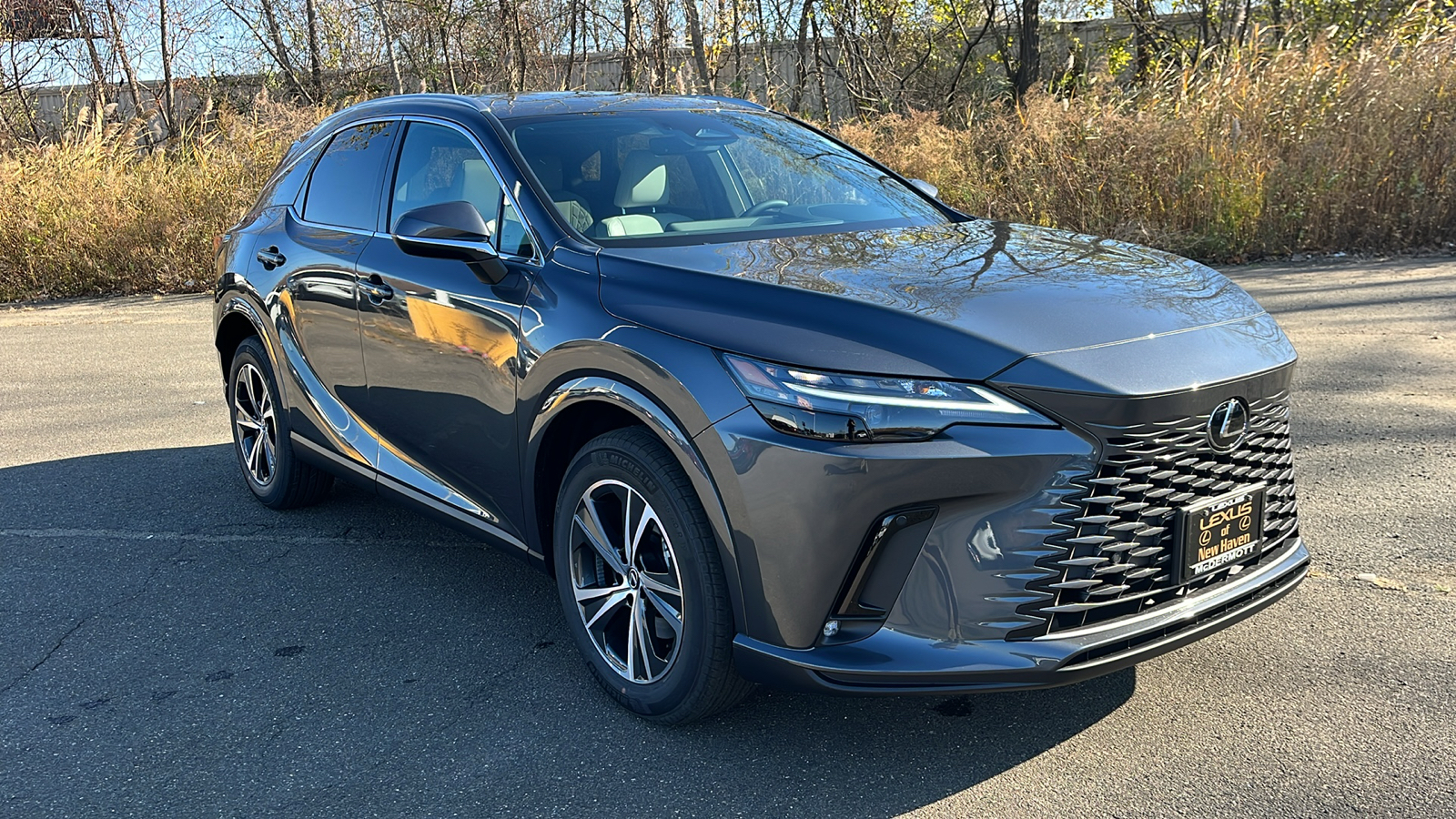 2025 Lexus RX 350 Base 3