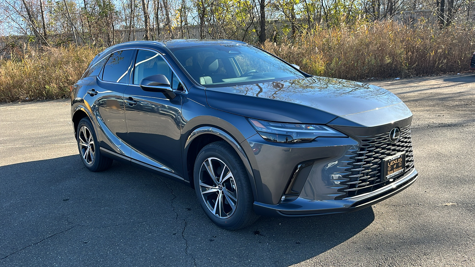 2025 Lexus RX 350 Base 3