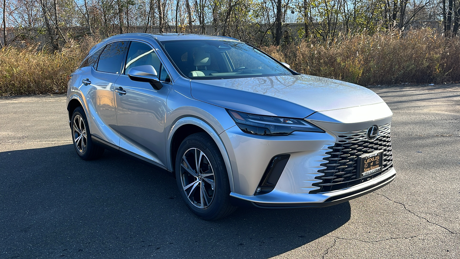 2025 Lexus RX 350 Base 3