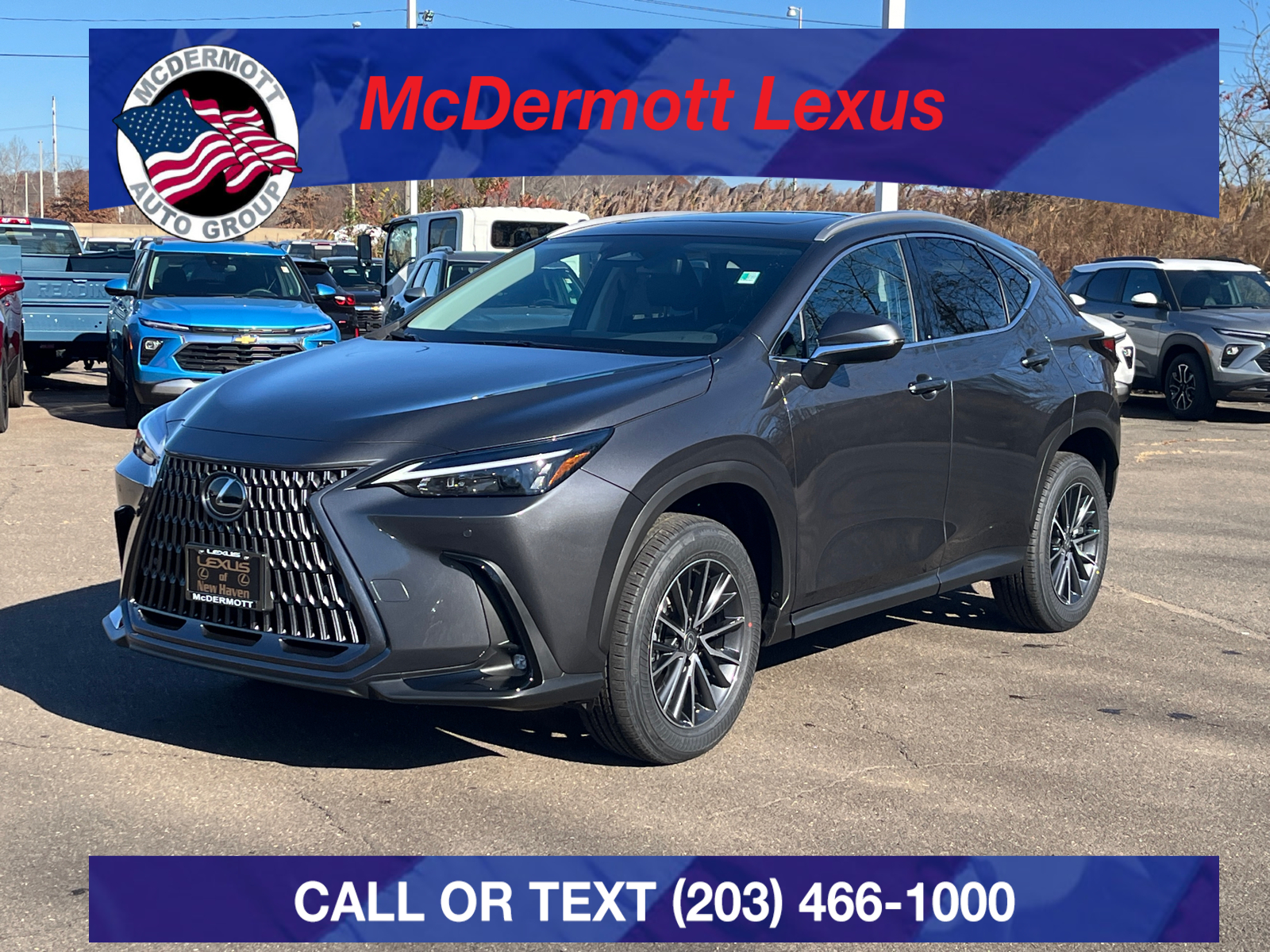 2025 Lexus NX 350 Premium 1