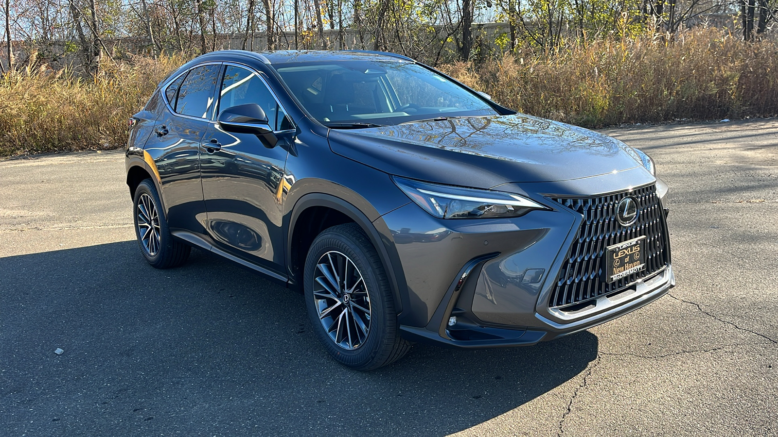 2025 Lexus NX 350 Premium 3